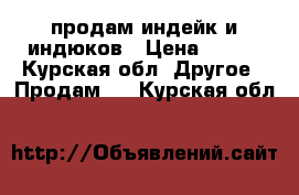 продам индейк и индюков › Цена ­ 350 - Курская обл. Другое » Продам   . Курская обл.